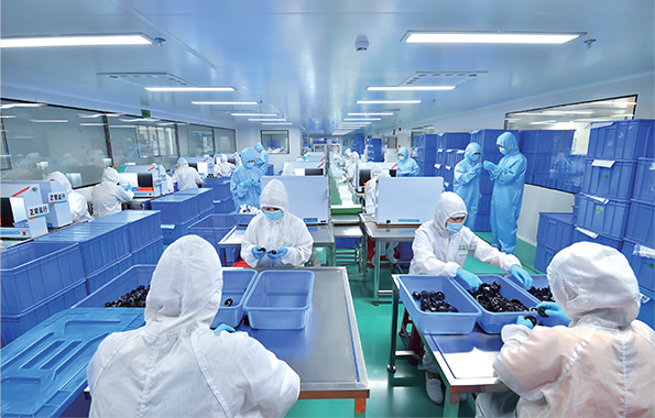 中国·ca888亚洲城